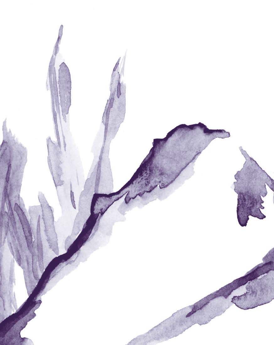 Couverture du premier numéro de Ravages : aquarelle d'un paysage de montagnes